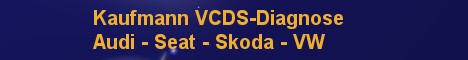 VCDS Fahrzeugdiagnose