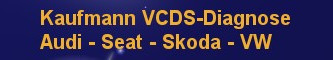 VCDS KFZ-Diagnose